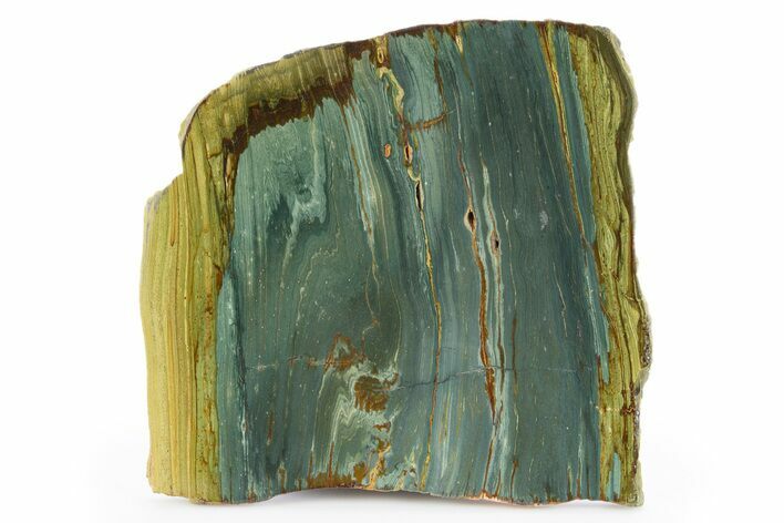 Gary Green Jasper (Larsonite) Bog Wood Slab - Oregon #302900